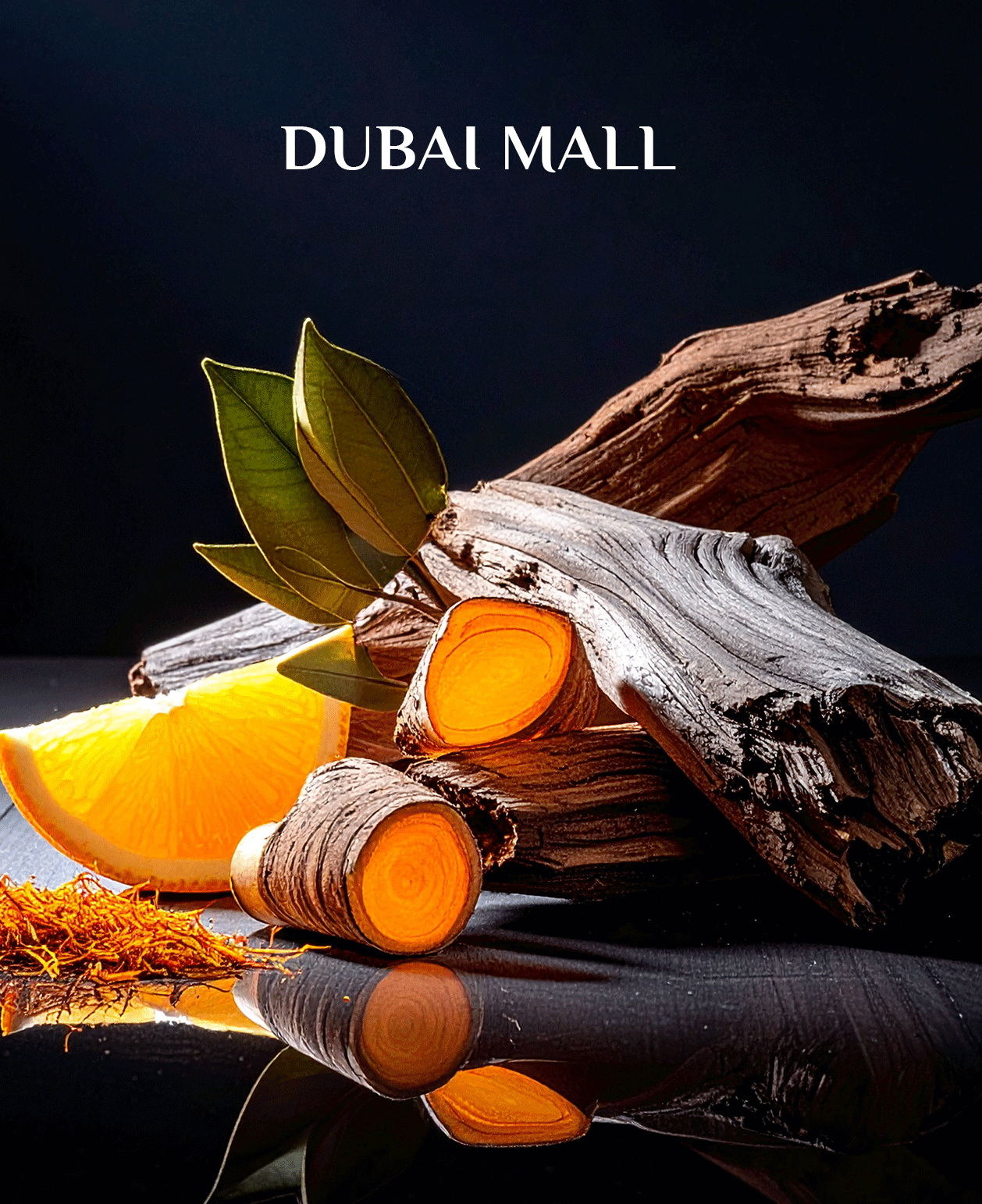 DUBAI-MALL